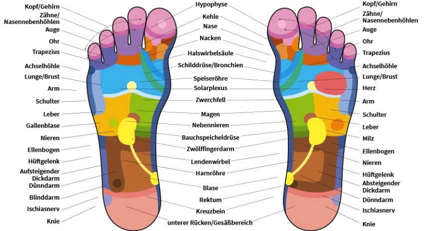 Fußreflexzonenmassage der Massage Ausbildung